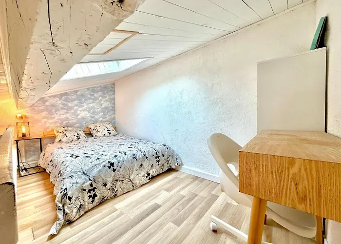 Le Nid Douillet, Proche Centre-ville Et Universite * Nimes